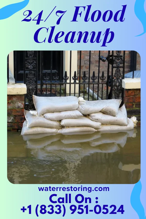 24/7 Flood Cleanup in Grant Town, WV