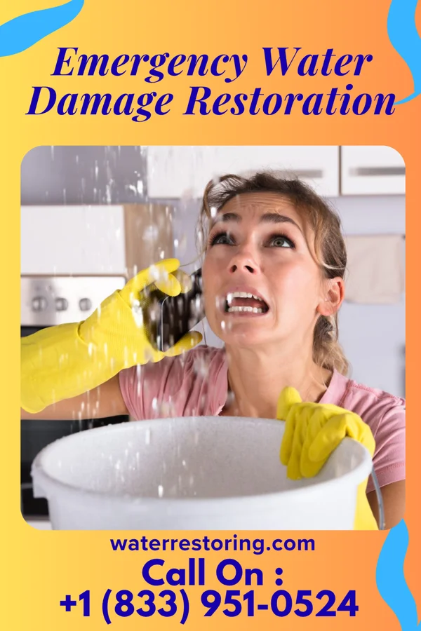 Emergency Water Damage Restoration in Grant Town, WV
