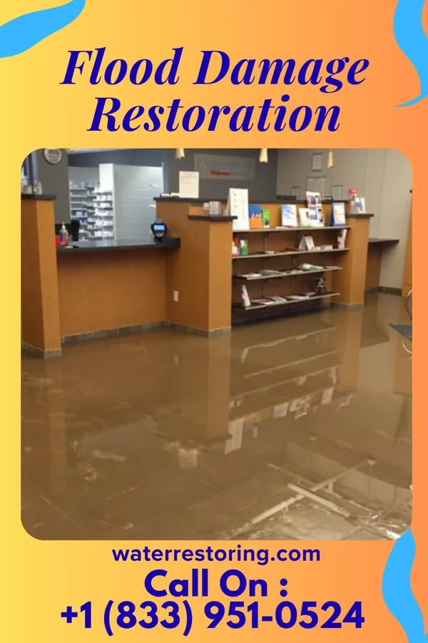 Flood Damage Restoration in Grant Town, WV