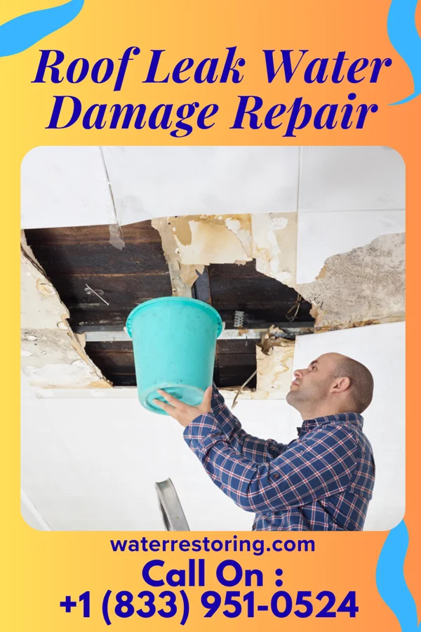 Roof Leak Water Damage Repair in Grant Town, WV
