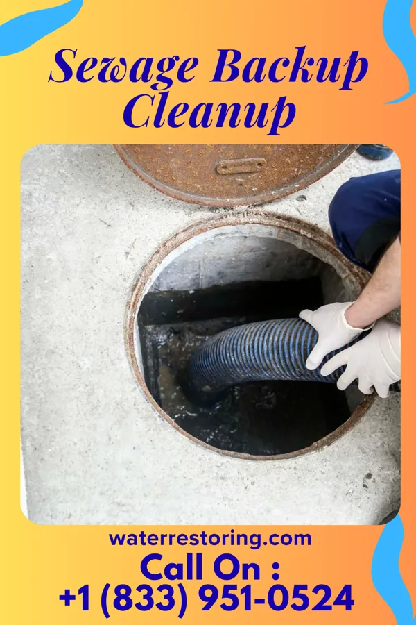 Sewage Backup Cleanup in Grant Town, WV