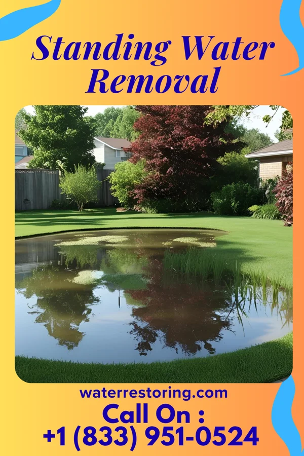 Standing Water Removal in Grant Town, WV
